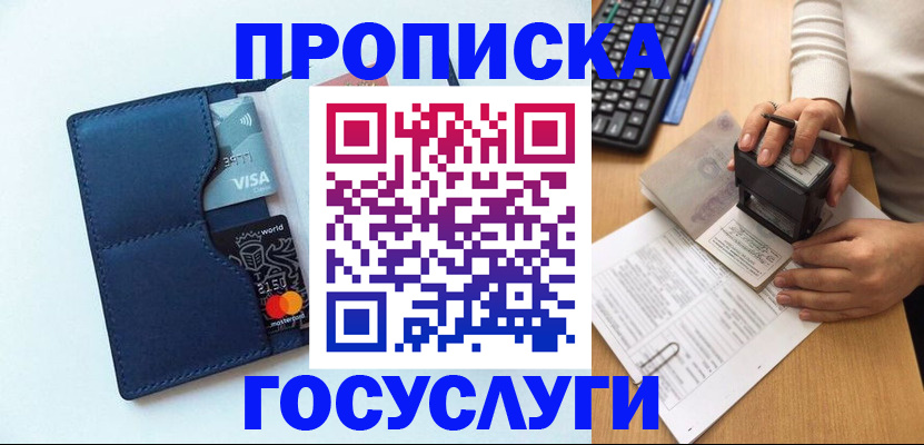 временная регистрация для всех в Барыше